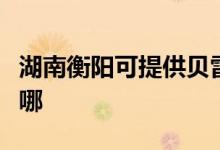 湖南衡阳可提供贝雷塔壁挂炉维修服务地址在哪