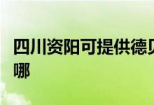 四川资阳可提供德贝得壁挂炉维修服务地址在哪