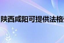 陕西咸阳可提供法格壁挂炉维修服务地址在哪