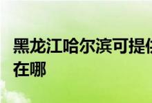 黑龙江哈尔滨可提供依玛壁挂炉维修服务地址在哪