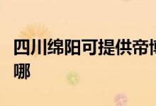 四川绵阳可提供帝博仕壁挂炉维修服务地址在哪