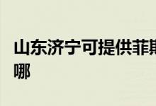 山东济宁可提供菲斯曼壁挂炉维修服务地址在哪