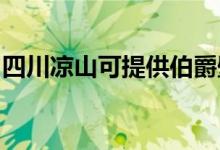 四川凉山可提供伯爵壁挂炉维修服务地址在哪