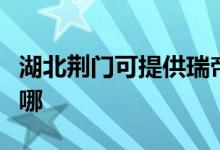 湖北荆门可提供瑞帝安壁挂炉维修服务地址在哪