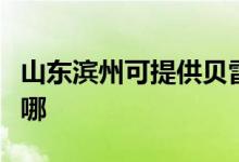 山东滨州可提供贝雷塔壁挂炉维修服务地址在哪