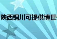 陕西铜川可提供博世壁挂炉维修服务地址在哪