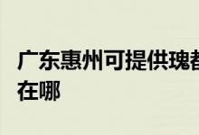 广东惠州可提供瑰都啦咪壁挂炉维修服务地址在哪