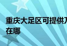 重庆大足区可提供万家乐壁挂炉维修服务地址在哪