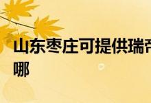 山东枣庄可提供瑞帝安壁挂炉维修服务地址在哪