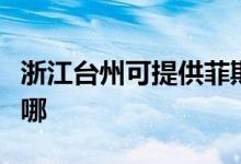 浙江台州可提供菲斯曼壁挂炉维修服务地址在哪