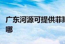 广东河源可提供菲斯曼壁挂炉维修服务地址在哪