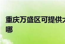 重庆万盛区可提供大成壁挂炉维修服务地址在哪