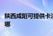 陕西咸阳可提供卡洛力壁挂炉维修服务地址在哪