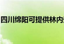 四川绵阳可提供林内壁挂炉维修服务地址在哪