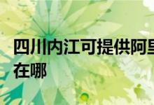 四川内江可提供阿里斯顿壁挂炉维修服务地址在哪