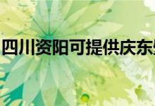 四川资阳可提供庆东壁挂炉维修服务地址在哪