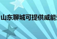 山东聊城可提供威能壁挂炉维修服务地址在哪