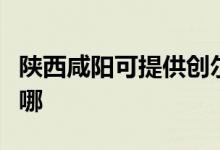 陕西咸阳可提供创尔特壁挂炉维修服务地址在哪