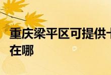 重庆梁平区可提供卡洛力壁挂炉维修服务地址在哪