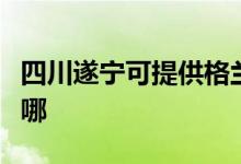 四川遂宁可提供格兰仕洗碗机维修服务地址在哪