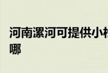 河南漯河可提供小松鼠壁挂炉维修服务地址在哪