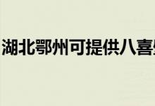 湖北鄂州可提供八喜壁挂炉维修服务地址在哪