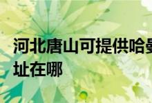 河北唐山可提供哈曼卡顿家庭影院维修服务地址在哪