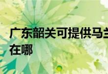 广东韶关可提供马兰士家庭影院维修服务地址在哪