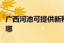 广西河池可提供新科家庭影院维修服务地址在哪