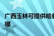 广西玉林可提供哈曼卡顿音响维修服务地址在哪