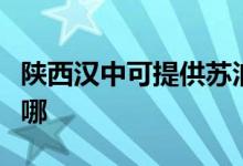 陕西汉中可提供苏泊尔吸尘器维修服务地址在哪