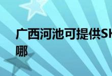 广西河池可提供SKG吸尘器维修服务地址在哪