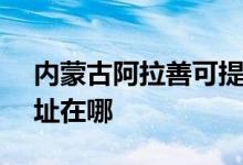 内蒙古阿拉善可提供SKG吸尘器维修服务地址在哪