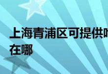 上海青浦区可提供哈曼卡顿音响维修服务地址在哪