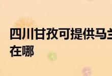 四川甘孜可提供马兰士家庭影院维修服务地址在哪