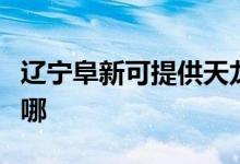 辽宁阜新可提供天龙家庭影院维修服务地址在哪