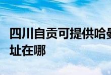 四川自贡可提供哈曼卡顿家庭影院维修服务地址在哪