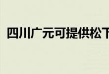 四川广元可提供松下音响维修服务地址在哪