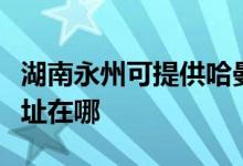 湖南永州可提供哈曼卡顿家庭影院维修服务地址在哪