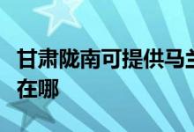 甘肃陇南可提供马兰士家庭影院维修服务地址在哪