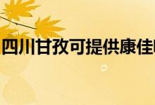 四川甘孜可提供康佳吸尘器维修服务地址在哪