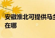 安徽淮北可提供马兰士家庭影院维修服务地址在哪