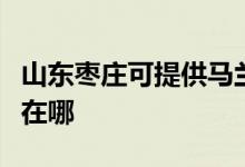 山东枣庄可提供马兰士家庭影院维修服务地址在哪