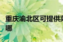 重庆渝北区可提供莱克吸尘器维修服务地址在哪