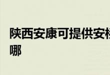 陕西安康可提供安桥家庭影院维修服务地址在哪