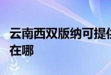 云南西双版纳可提供康佳吸尘器维修服务地址在哪