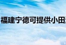 福建宁德可提供小田清洁机维修服务地址在哪