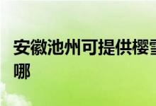 安徽池州可提供樱雪抽油烟机维修服务地址在哪