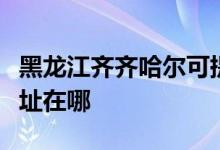 黑龙江齐齐哈尔可提供博世微波炉维修服务地址在哪