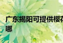 广东揭阳可提供樱花抽油烟机维修服务地址在哪